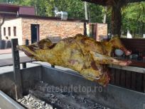 2- Berbecul este montat pe protap